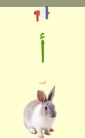 الأحرف العربية captura de pantalla 3