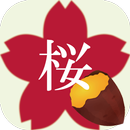 焼き芋 桜 - 独自の研究を重ねて開発 おいしい焼き芋屋さん APK