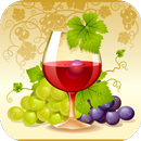 葡萄酒入门指南 APK