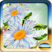 Daisy wallpaper APK