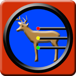 Tournament 3D Archery