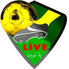 Yalla Shoot live ⚽️  Football Scores All Sports TV آئیکن