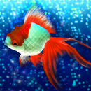 APK Goldfish Friends