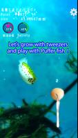 Playing with Puffer fish screenshot 1