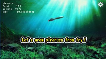 Pirarucu rising from fry Affiche