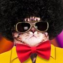 Dancing Cats Simulator APK