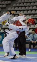 Fonds d'écran Taekwondo Sport Affiche