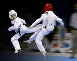 Fonds d'écran Taekwondo Sport capture d'écran 3