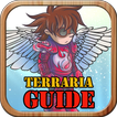 Guide Tips For Terraria