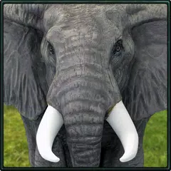 Wild Elephant Simulator アプリダウンロード