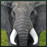 Wild Elephant Simulator icono