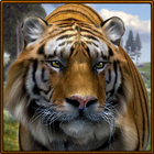 Wild Tiger Simulator icon