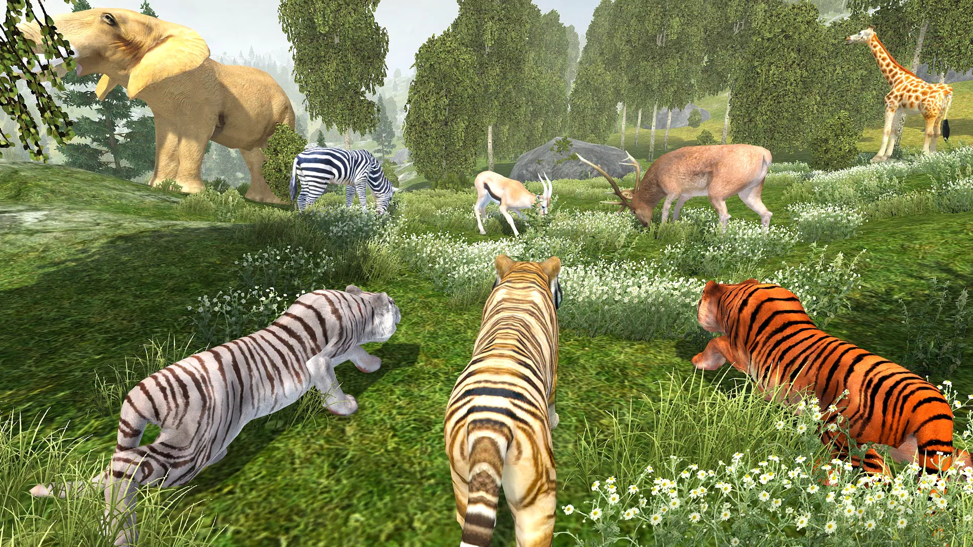 Wild Tiger Simulator Game Free APK for Android Download