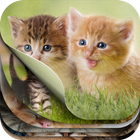 Cute Kitten Puzzle Kit & Wallpapers icône