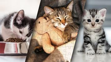 Cute Kitten Puzzle Kit & Wallpapers capture d'écran 1