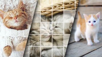 Cute Kitten Puzzle Kit & Wallpapers capture d'écran 3