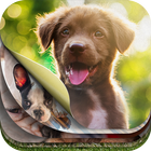 Lovely Puppy Puzzle Kit & Wallpapers-icoon