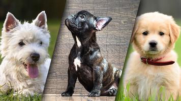 Lovely Puppy Puzzle Kit & Wallpapers capture d'écran 1