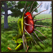 Pitcher Plant Simulator