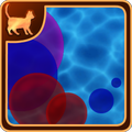Bubble Screen
