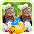 Free Find Differences Game APK