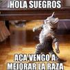 Graciosas Imagenes APK