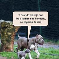 برنامه‌نما Graciosas Imagenes عکس از صفحه