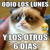 Chistes super locos APK