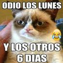 Chistes super locos APK