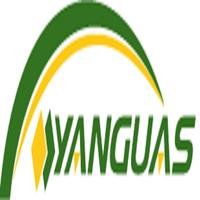 YanguasPass পোস্টার