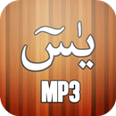 Surah  MP3 Yasin Yaseen APK