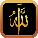 Yasin MP3 APK