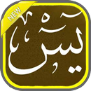 Yasin APK