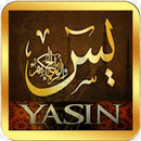 Surat Yasin & Tahlil Lengkap APK