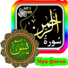 Qiroah Merdu Surat Yasin dan Ar Rahman offline أيقونة