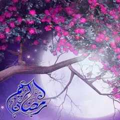 ramadan beautiful Lwp APK download