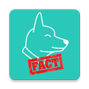 Dog facts & pictures - App, Widget & Notification APK