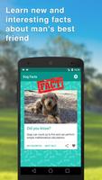 Dog facts & pictures - App, Widget & Notification poster