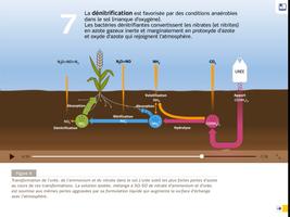 Pur Nutriment BE capture d'écran 2