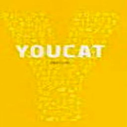 YouCat 图标