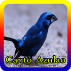 Canto Azulao offline 2017 icône