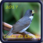 Canto do Chorão mp3 offline icon