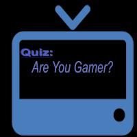 The Gamer's Quiz 포스터