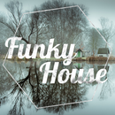 Funky house music APK