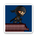 Ninja Roof Jumper
