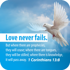 Daily Bible Verses Pictures icon