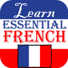 Learn Essential French icône
