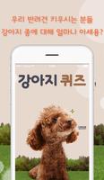 강아지퀴즈-견종,퀴즈,퀴즈퀴즈,강아지키우기,애완동물-poster