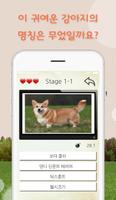 강아지퀴즈-견종,퀴즈,퀴즈퀴즈,강아지키우기,애완동물 screenshot 2