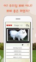 강아지퀴즈-견종,퀴즈,퀴즈퀴즈,강아지키우기,애완동물 capture d'écran 3